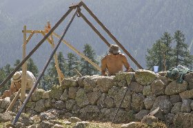 ZU11100410.jpg